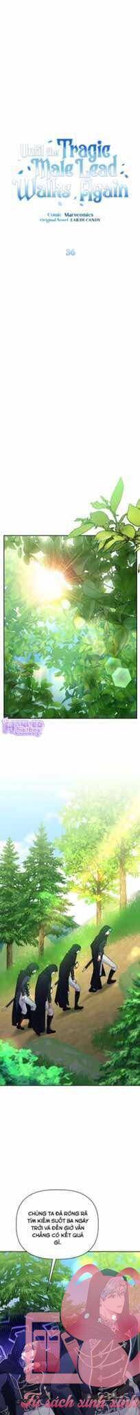 Con Đường Hoa Dành Cho Nam Chính Chap 36 - Next Chap 37
