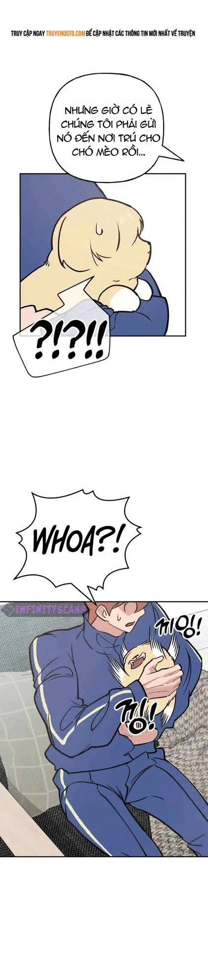 Con Rể Quỷ Quyệt Chap 7 - Next Chap 8