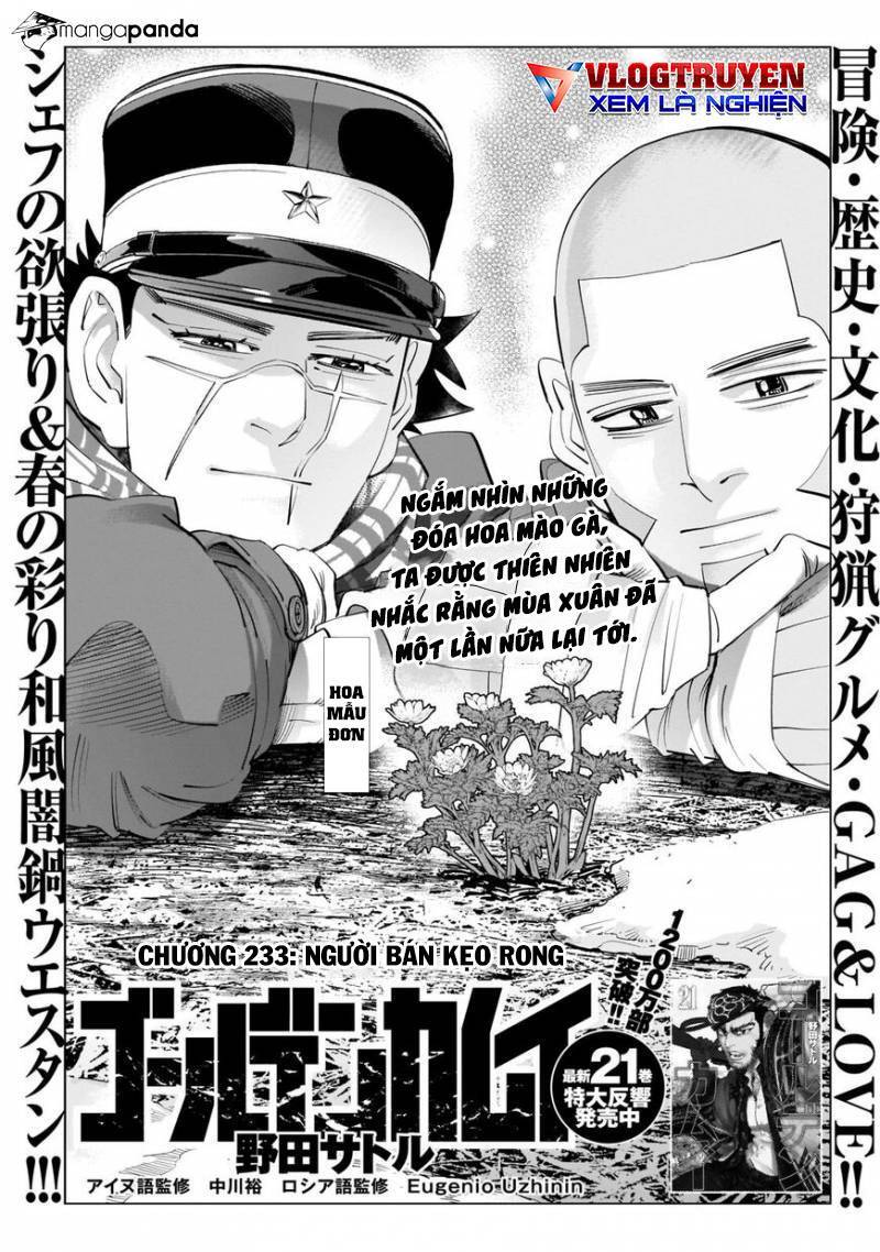 Cơn Sốt Vàng Sau Chiến Tranh Chap 233 - Next Chap 234