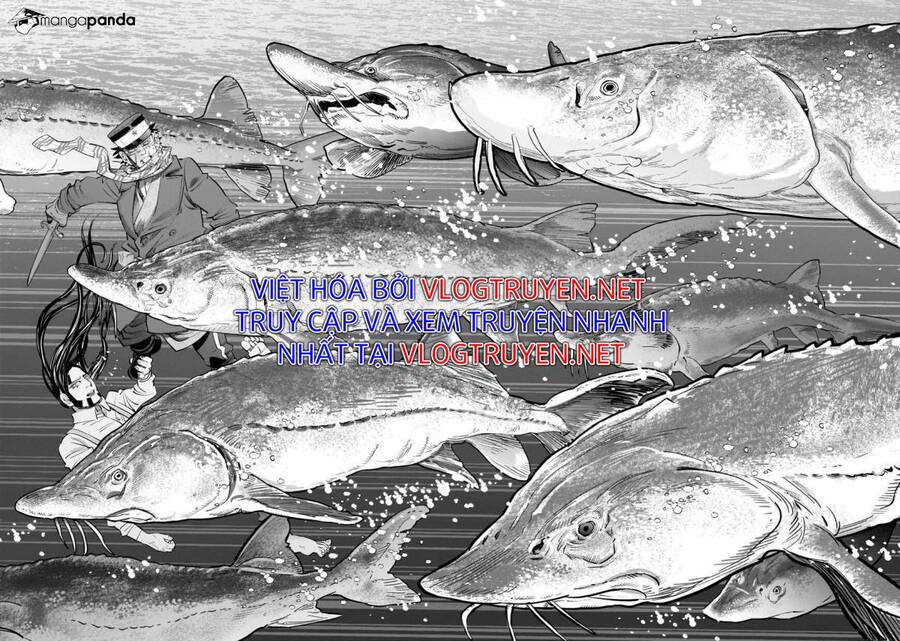 Cơn Sốt Vàng Sau Chiến Tranh Chap 237 - Next Chap 238