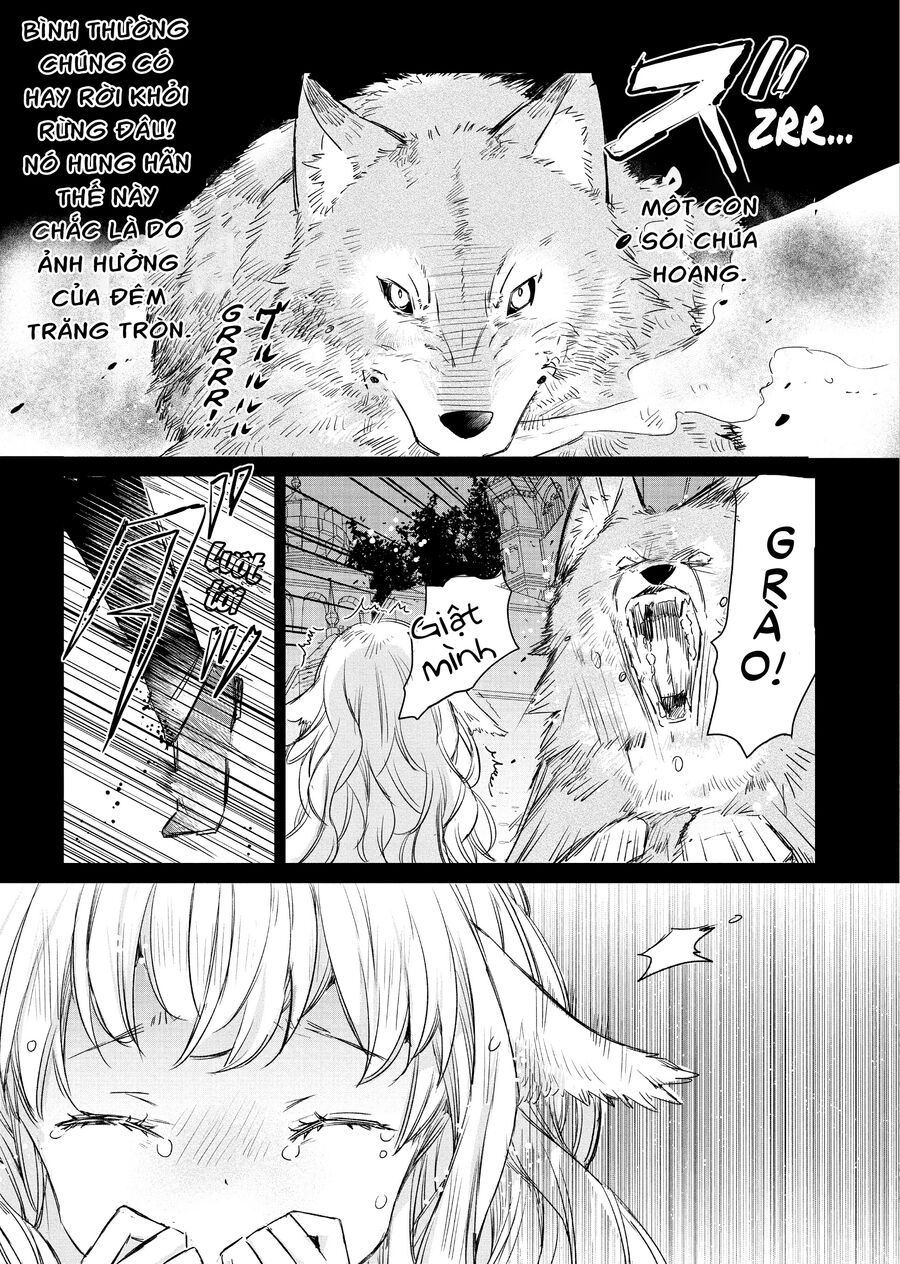 Công Chúa Cừu Trong Lốt Sói Chap 1 - Next Chap 2