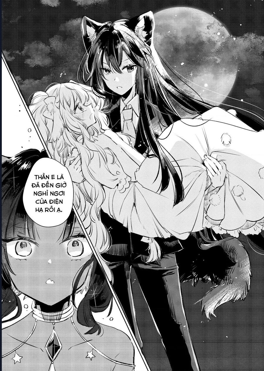Công Chúa Cừu Trong Lốt Sói Chap 12 - Next Chap 13