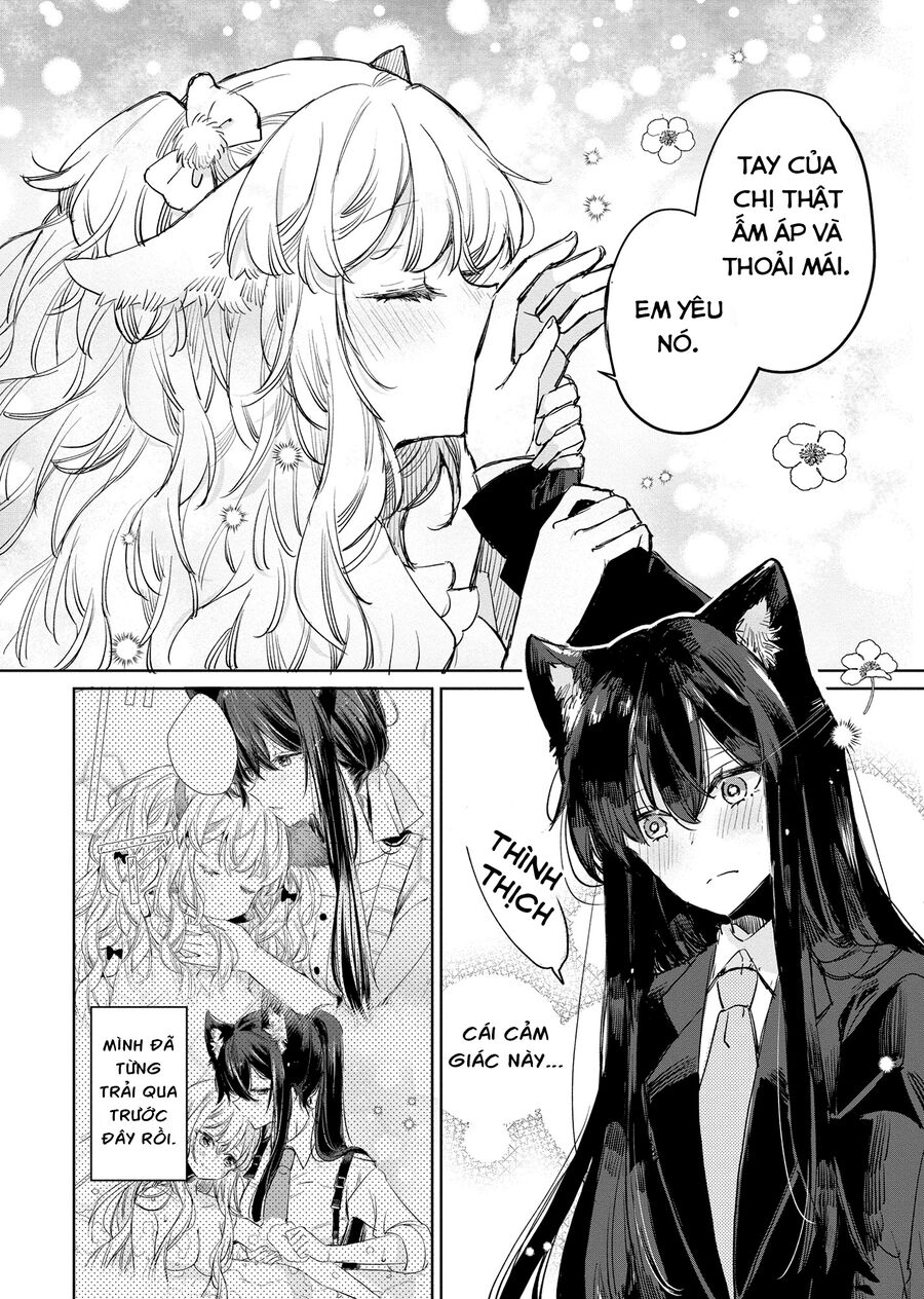 Công Chúa Cừu Trong Lốt Sói Chap 13 - Next Chap 14