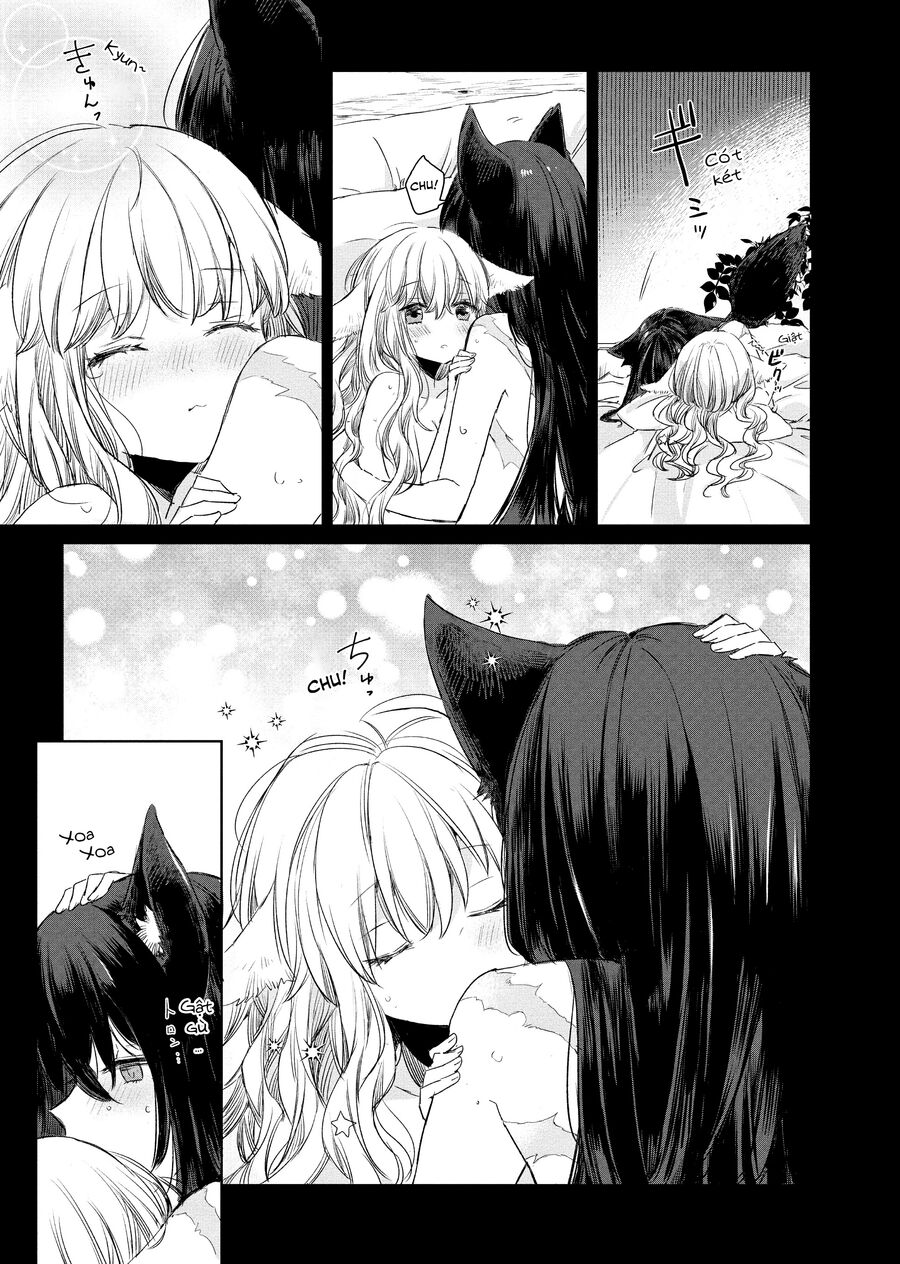 Công Chúa Cừu Trong Lốt Sói Chap 2 - Next Chap 3
