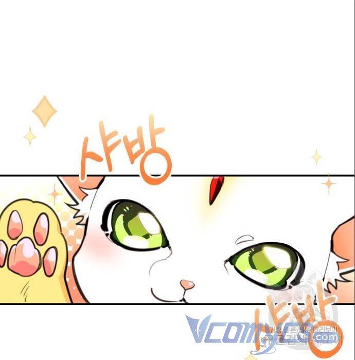 Công Chúa Lotto Chap 11 - Next Chap 12