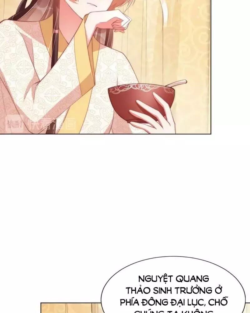 Công Chúa Tại Thượng: Quốc Sư Mời Xuống Kiệu Chap 33 - Next Chap 34