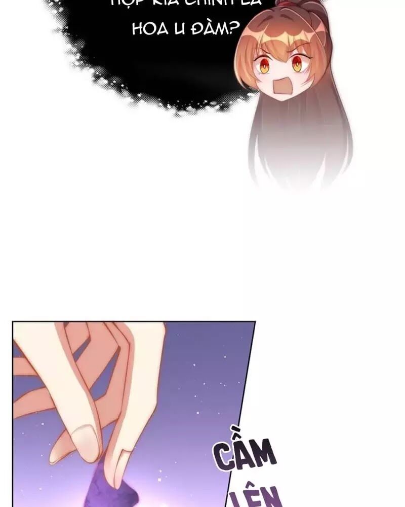 Công Chúa Tại Thượng: Quốc Sư Mời Xuống Kiệu Chap 33 - Next Chap 34