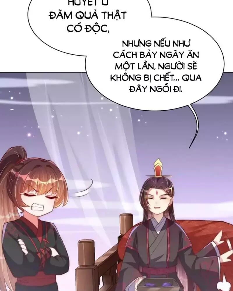 Công Chúa Tại Thượng: Quốc Sư Mời Xuống Kiệu Chap 33 - Next Chap 34