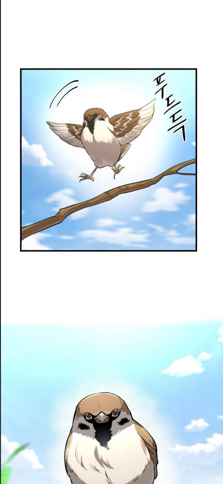 Công Năng Đặc Dị Chap 1 - Next Chap 2