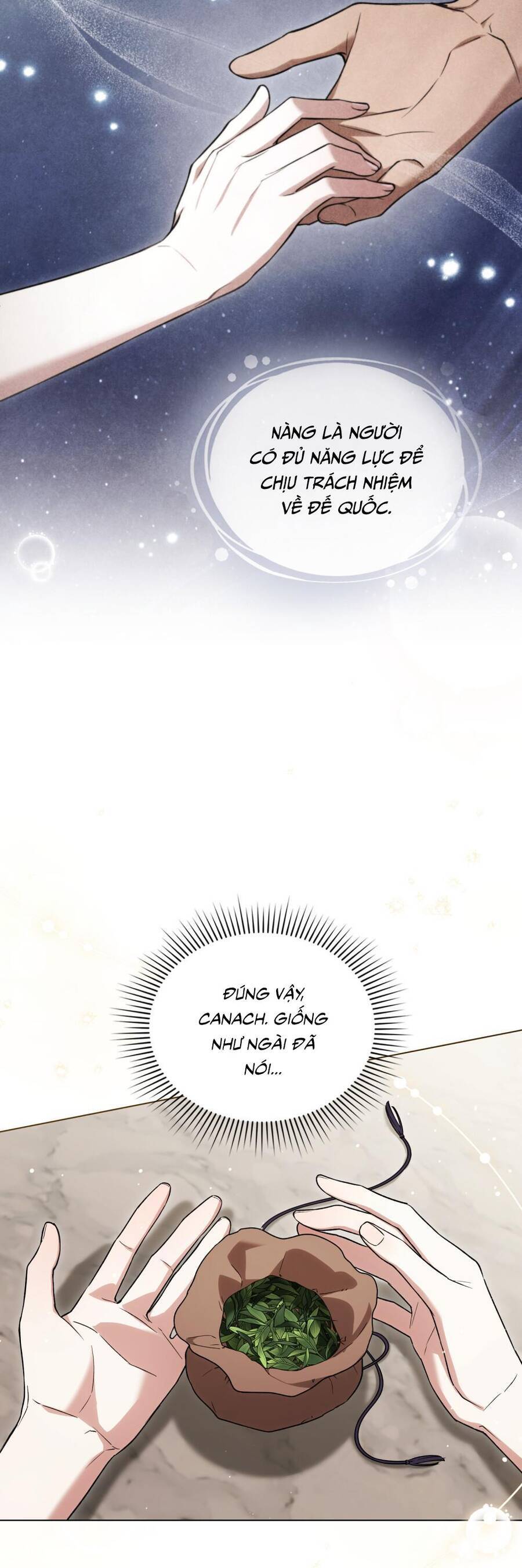 Cuộc Hôn Nhân Chính Trị Với Kẻ Thù Dịu Dàng Chap 25 - Next Chap 26