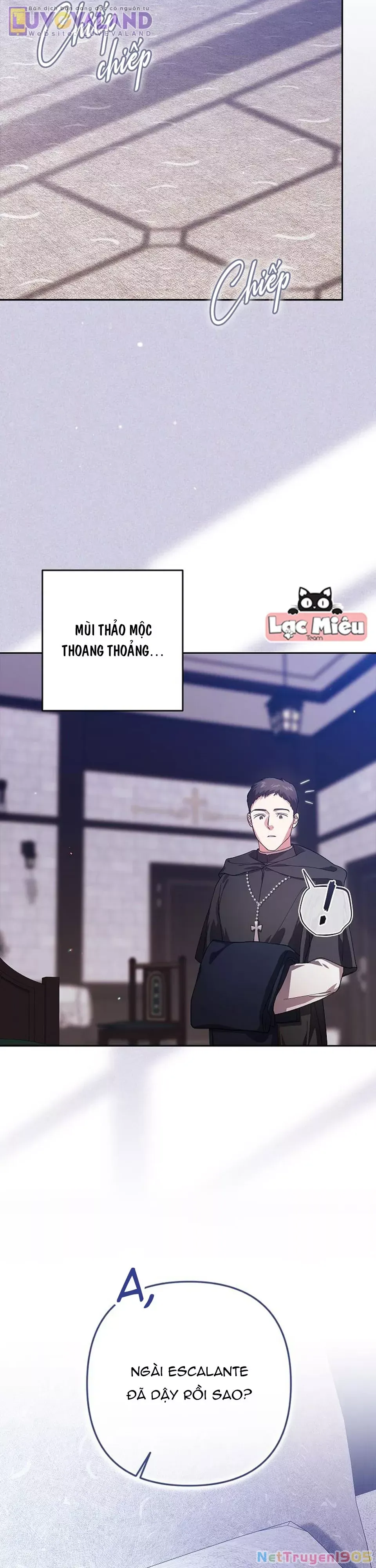 Cuộc Hôn Nhân Này Dù Sao Cũng Sẽ Tan Vỡ Mà Thôi Chap 101 - Next Chap 102
