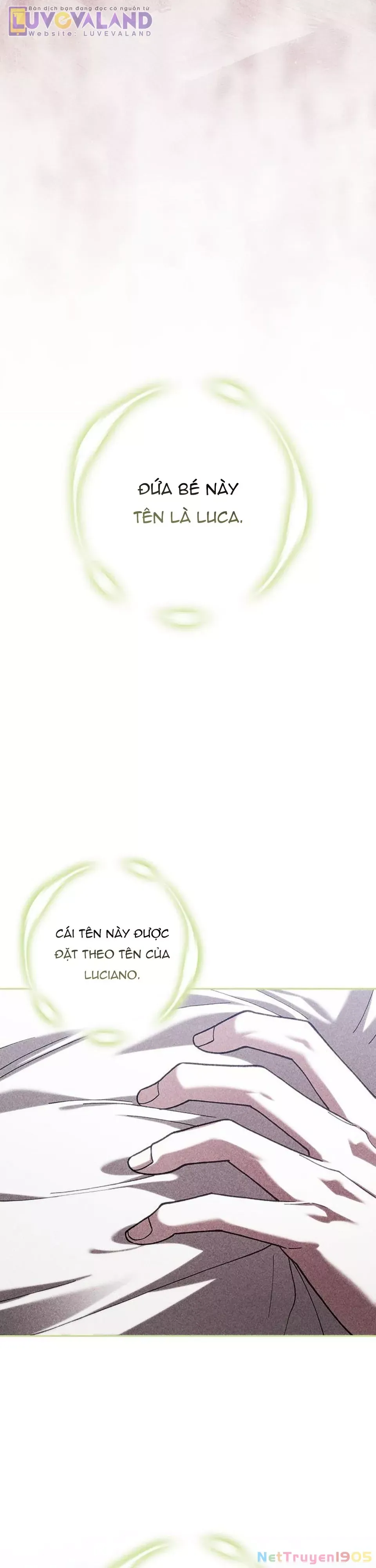 Cuộc Hôn Nhân Này Dù Sao Cũng Sẽ Tan Vỡ Mà Thôi Chap 102 - Next Chap 103