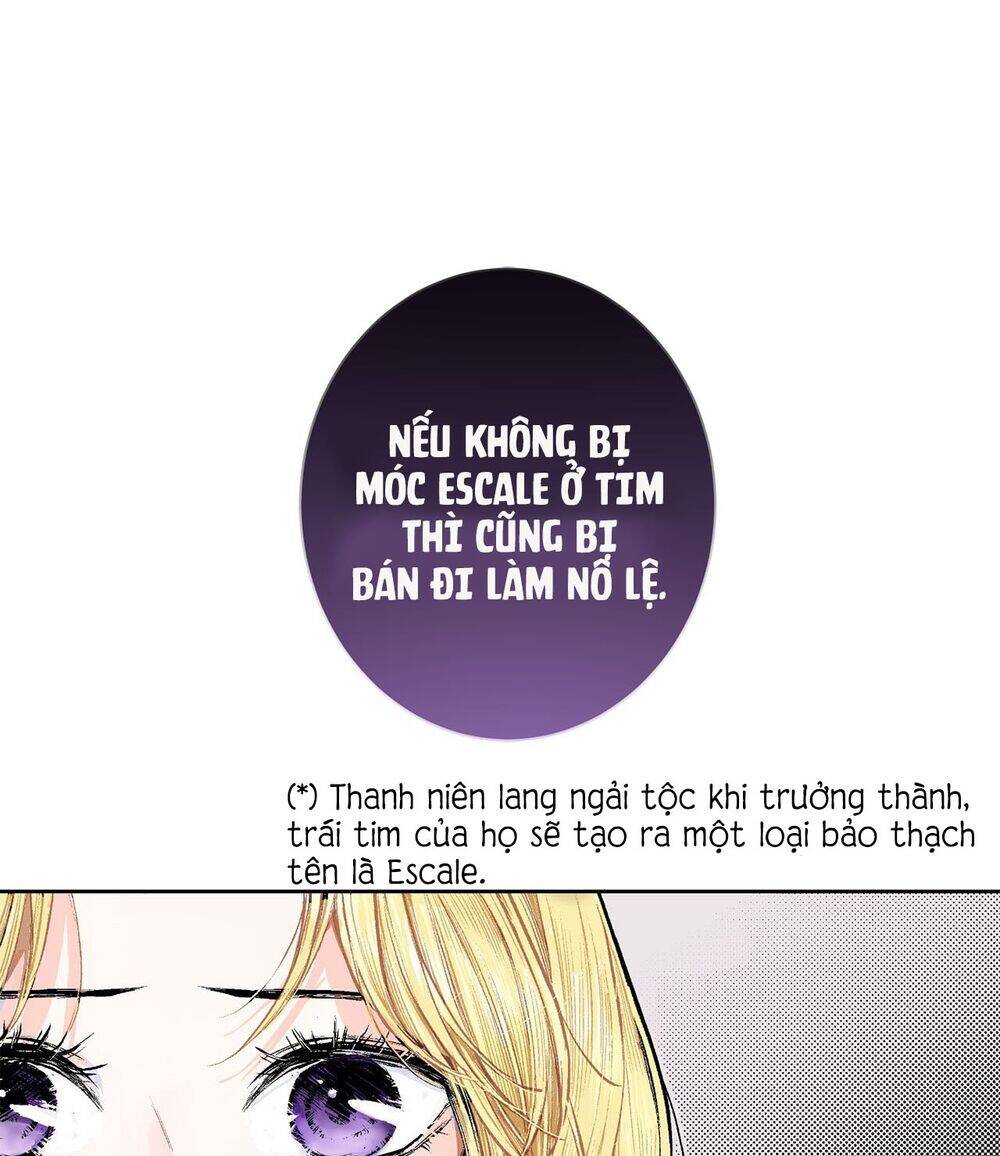 Cuộc Phản Công Của Nàng Hầu Chap 3 - Next Chap 4