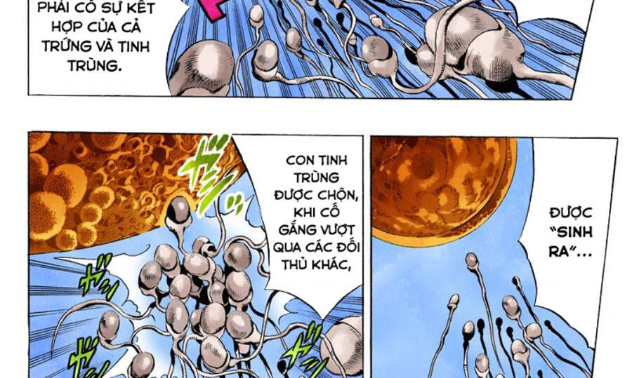 Cuộc Phiêu Lưu Bí Ẩn Chap 705 - Next Chap 706