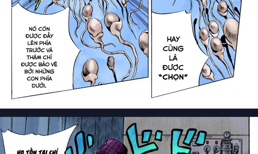 Cuộc Phiêu Lưu Bí Ẩn Chap 705 - Next Chap 706