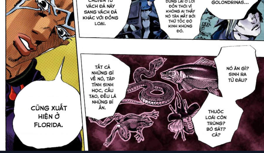 Cuộc Phiêu Lưu Bí Ẩn Chap 706 - Next Chap 707