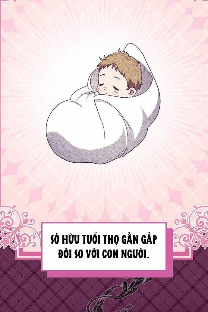 Cuộc Sống Độc Thân Giản Dị Của Quý Cô Bị Bỏ Rơi Chap 20 - Next Chap 21