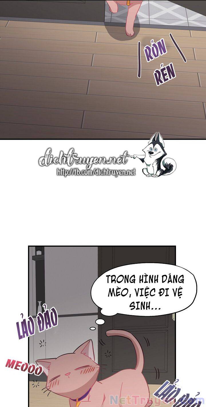 Cuộc Sống Kỳ Thú Chap 35 - Next Chap 36