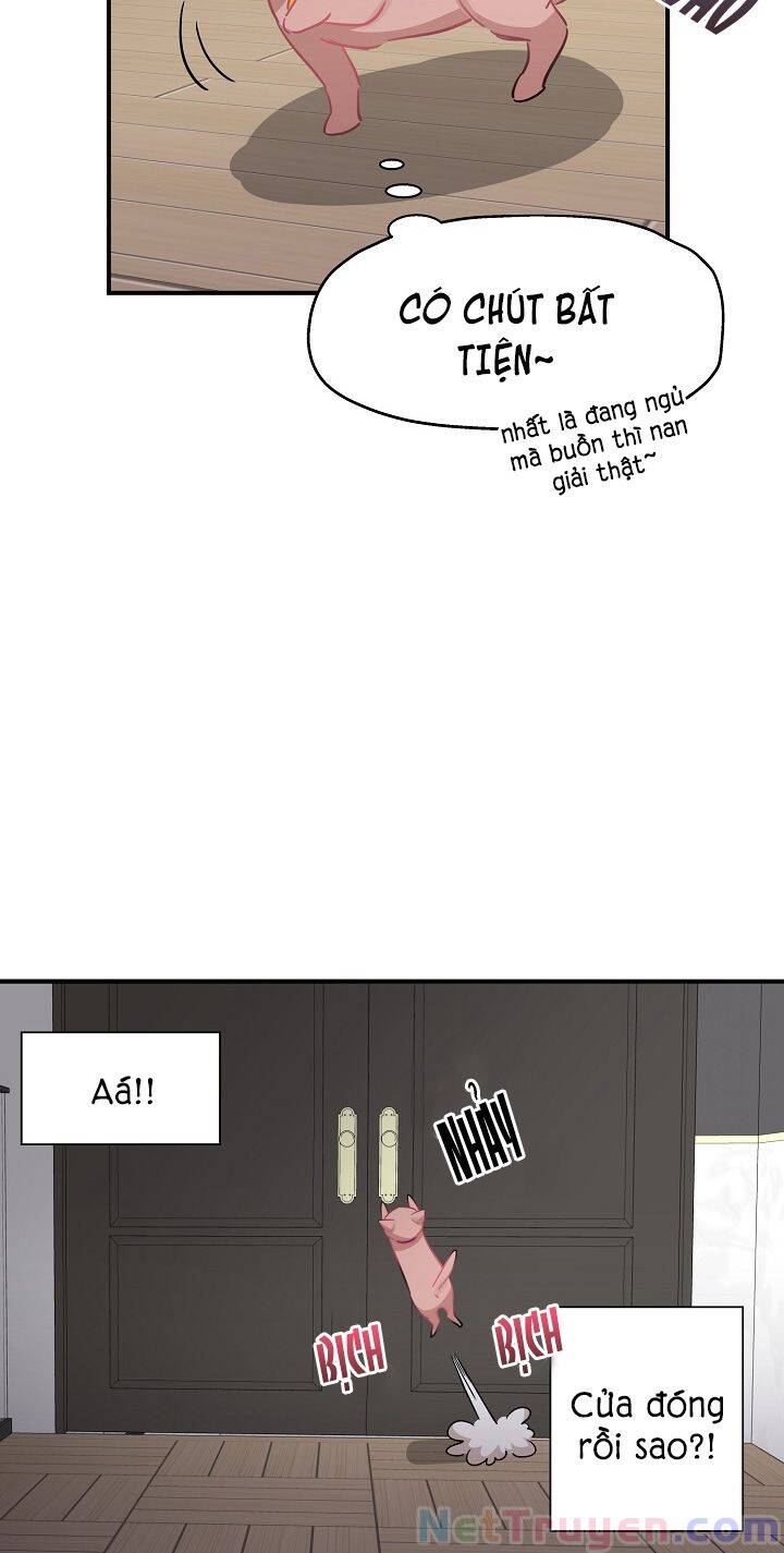 Cuộc Sống Kỳ Thú Chap 35 - Next Chap 36