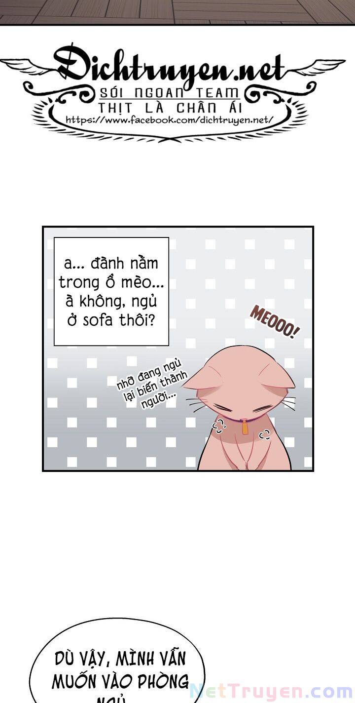 Cuộc Sống Kỳ Thú Chap 35 - Next Chap 36