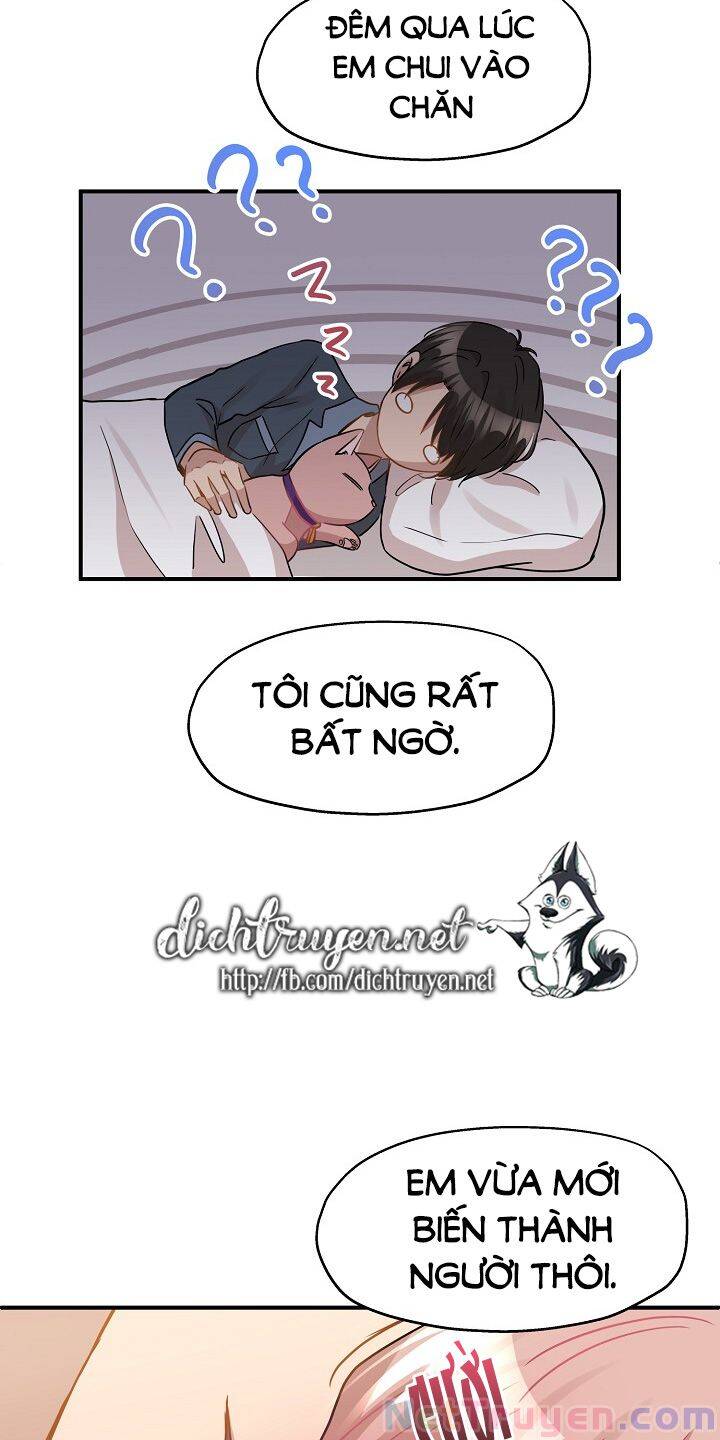 Cuộc Sống Kỳ Thú Chap 35 - Next Chap 36
