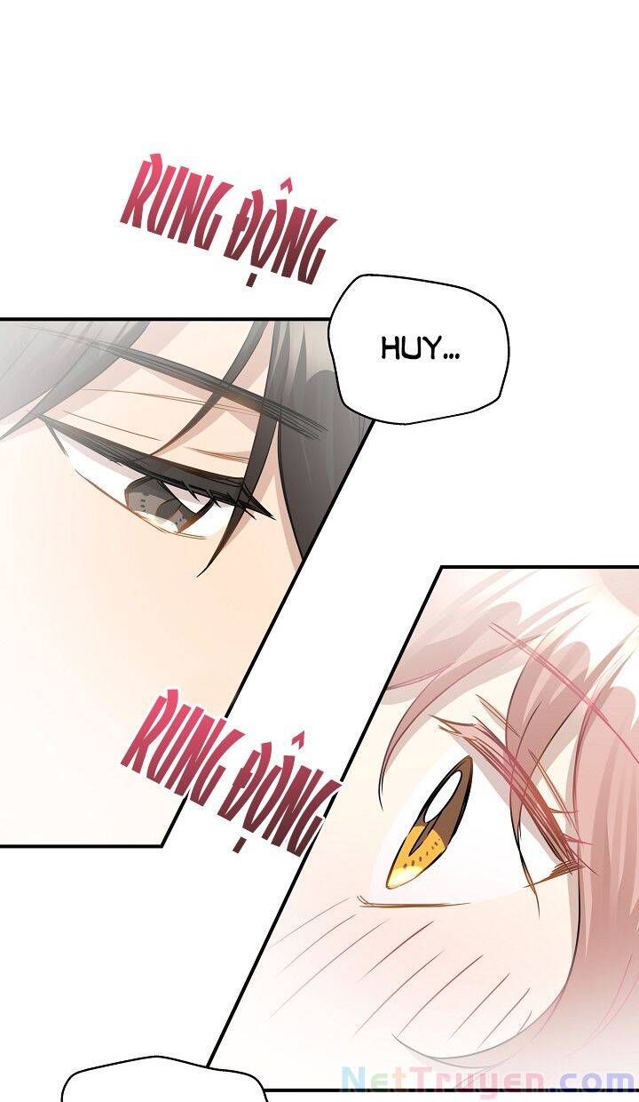Cuộc Sống Kỳ Thú Chap 35 - Next Chap 36