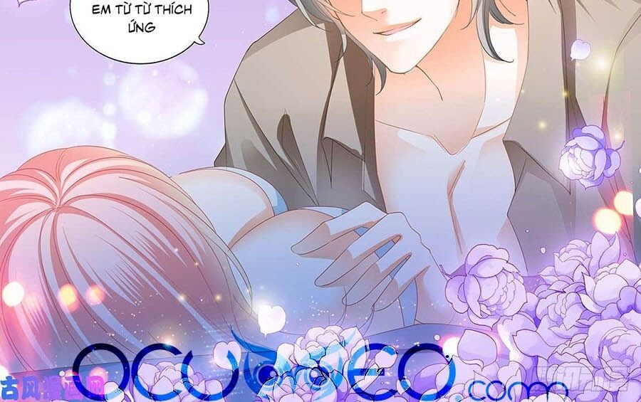 Cuồng Nhiệt Boss, Sủng Thê Xin Kiềm Chế Chap 102 - Next Chap 103