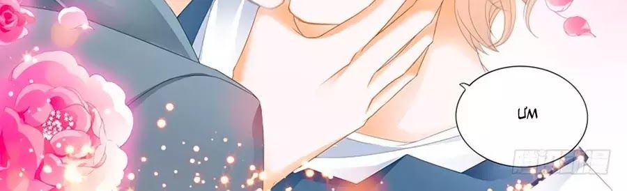 Cuồng Nhiệt Boss, Sủng Thê Xin Kiềm Chế Chap 46 - Next Chap 47
