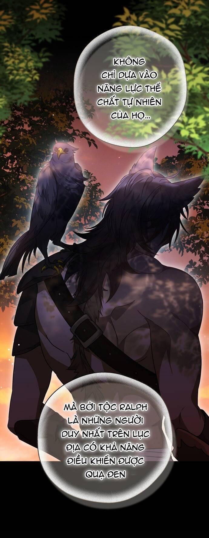 Cướp Dâu Chap 611 - Next Chap 612