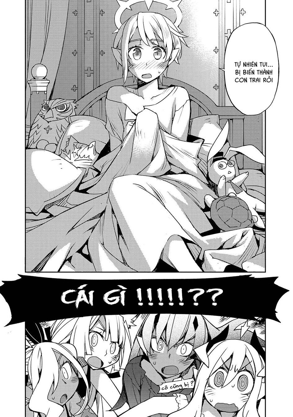 Cylcia = Code Chap 25 - Next Chap 26