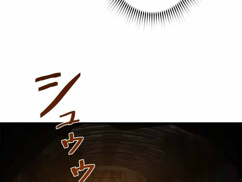 Đặc Tính Tiến Hóa Của Chiêu Hồn Sư Chap 77 - Next Chap 78