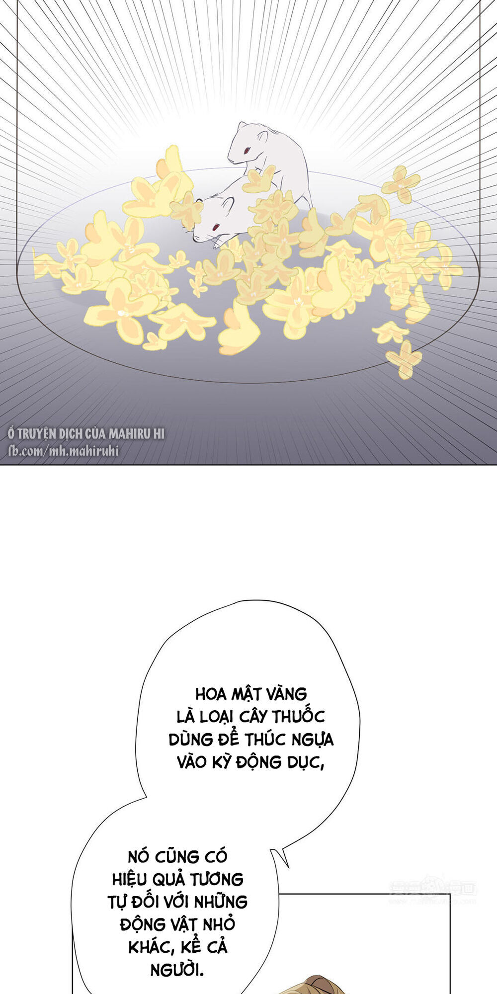 Đại Chiến Công Chúa Chap 40 - Next Chap 41