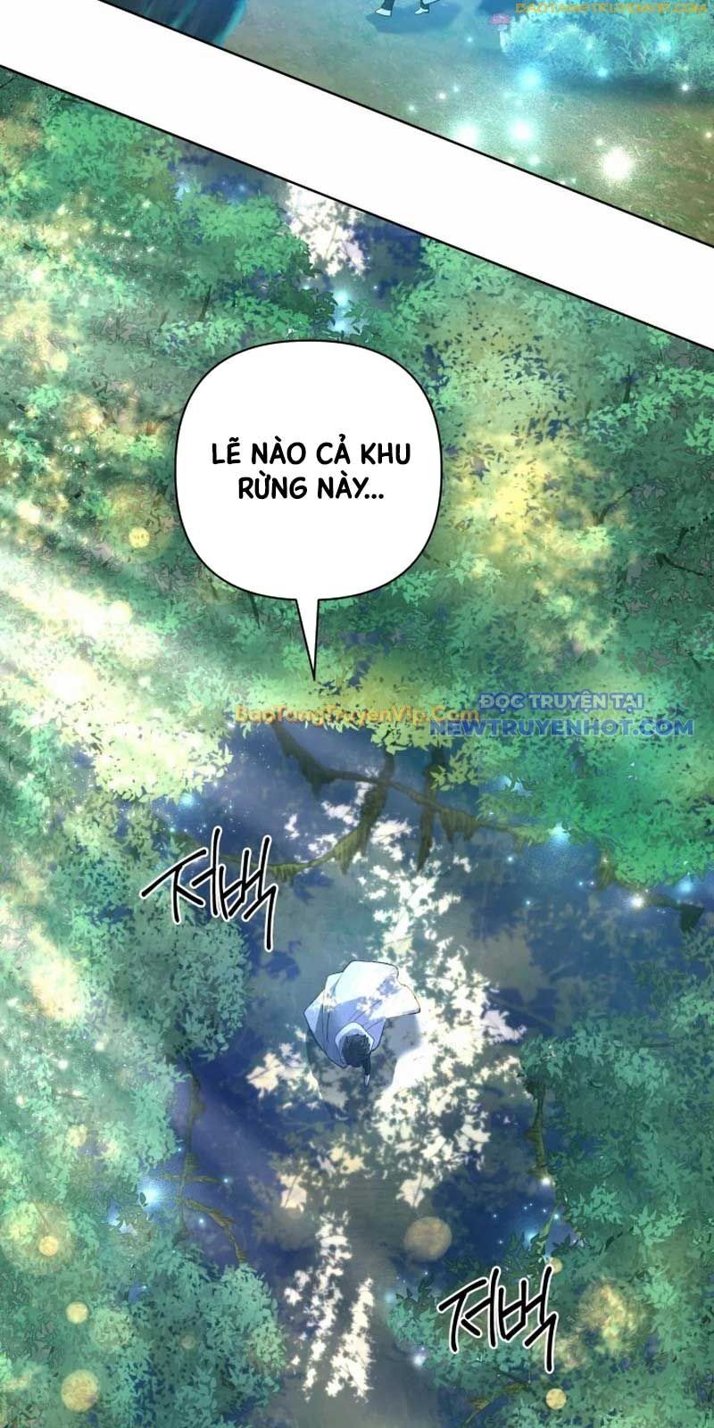 Đại Pháp Sư Thần Thoại Tái Lâm Chap 39 - Next Chap 40
