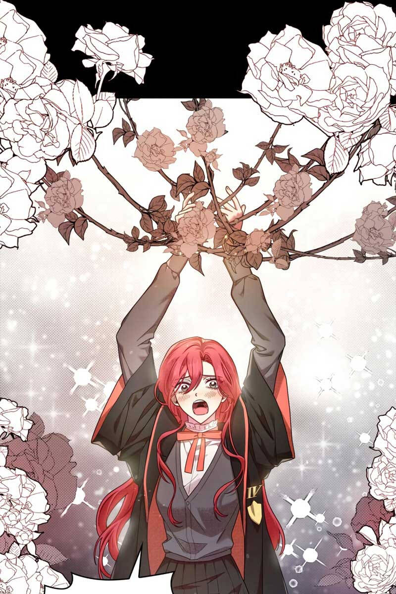 Đại Pháp Sư Toàn Năng Chap 28 - Next Chap 29
