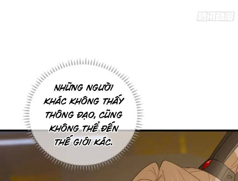 Đại Thừa Kỳ Mới Có Nghịch Tập Hệ Thống Chap 41 - Next Chap 42