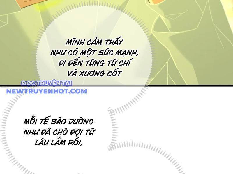 Đại Thừa Kỳ Mới Có Nghịch Tập Hệ Thống Chap 44 - Next Chap 45