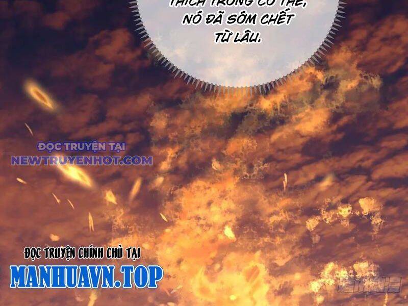 Đại Thừa Kỳ Mới Có Nghịch Tập Hệ Thống Chap 47 - Next Chap 48
