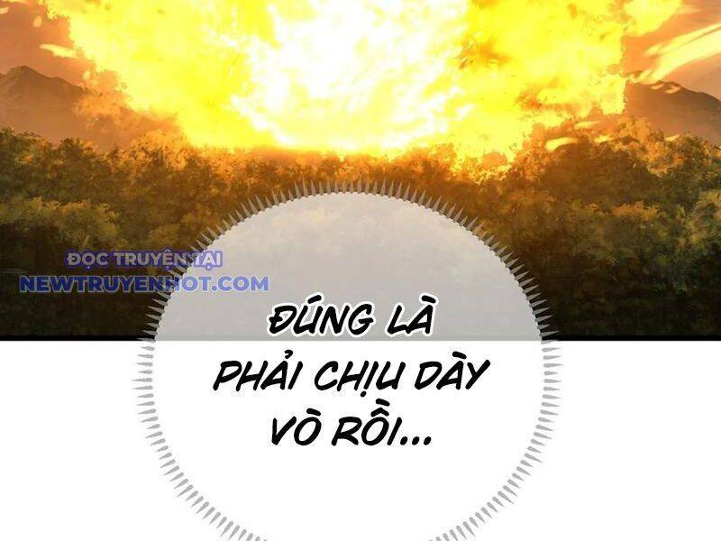 Đại Thừa Kỳ Mới Có Nghịch Tập Hệ Thống Chap 47 - Next Chap 48