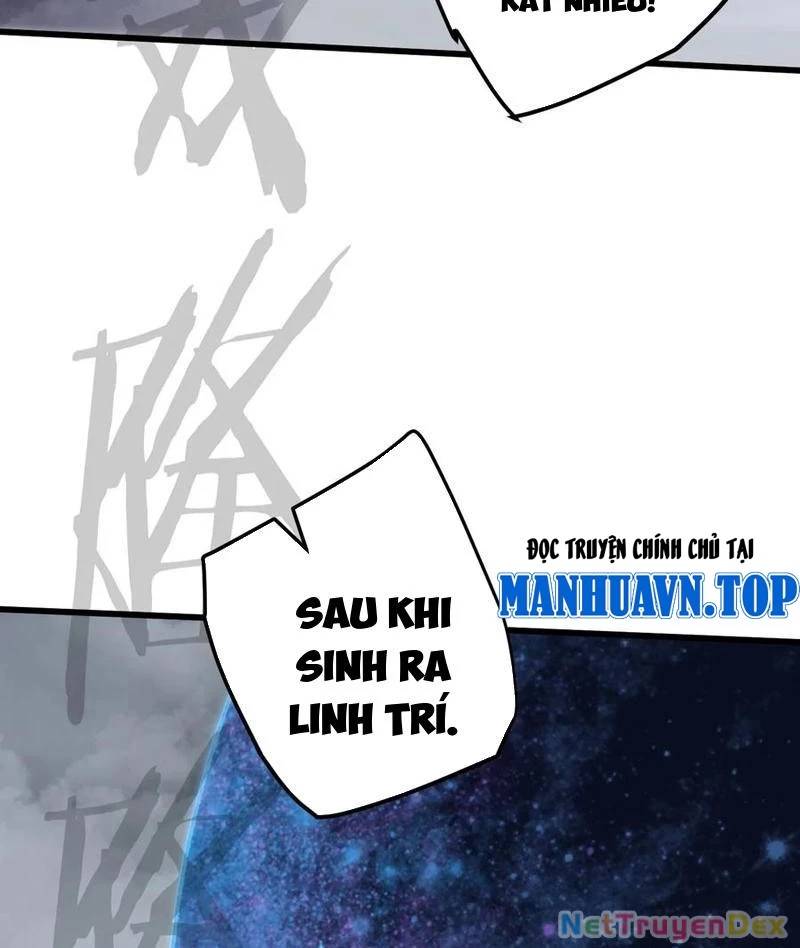 Đại Thừa Kỳ Mới Có Nghịch Tập Hệ Thống Chap 49 - Next Chap 50