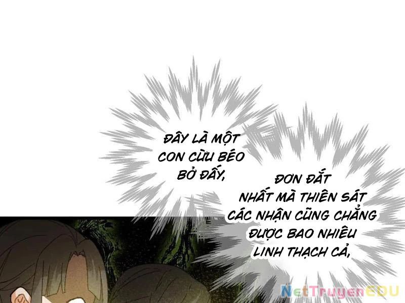 Đại Thừa Kỳ Mới Có Nghịch Tập Hệ Thống Chap 53 - Next Chap 54