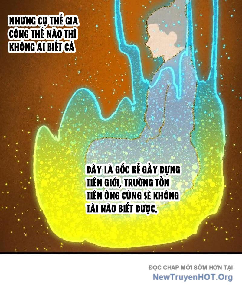 Đại Thừa Kỳ Mới Có Nghịch Tập Hệ Thống Chap 69 - Next Chap 70