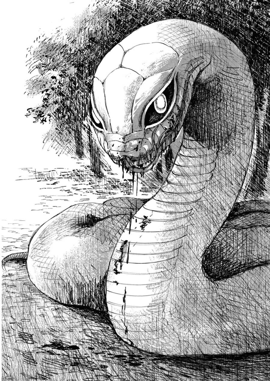 Đại Xà Phu Nhân Chap 18 - Next Chap 19