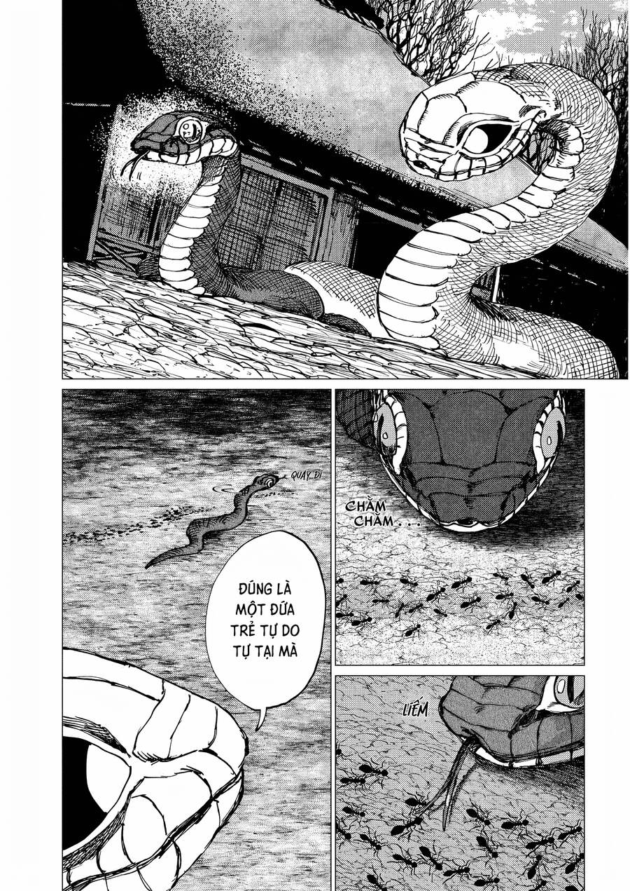 Đại Xà Phu Nhân Chap 22 - Next Chap 23