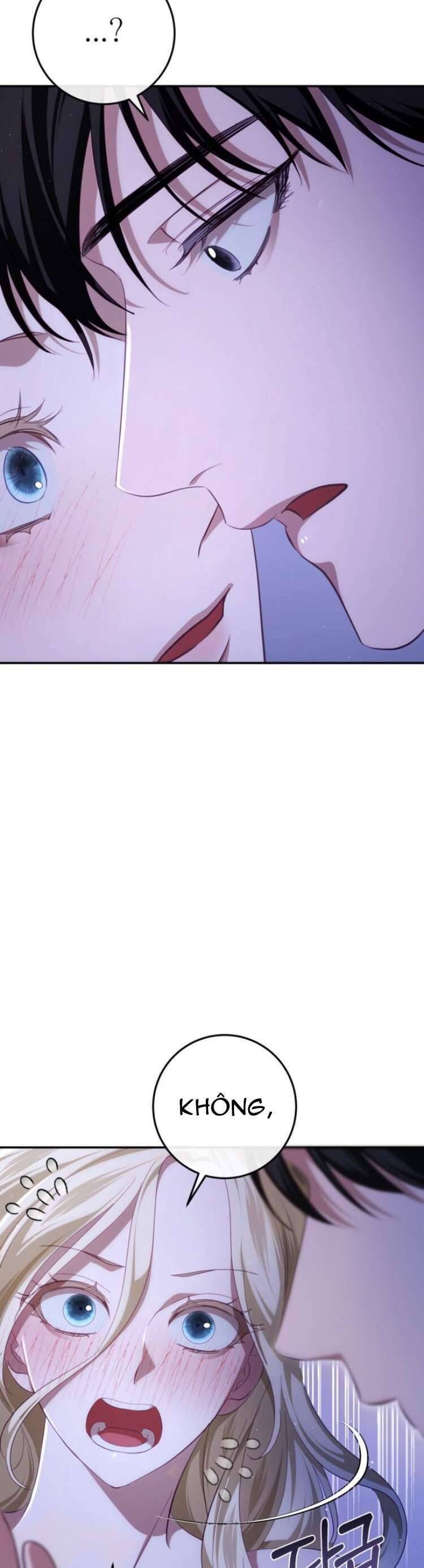 Đằng Sau Nụ Cười Của Nàng Công Chúa Chap 28 - Next Chap 29