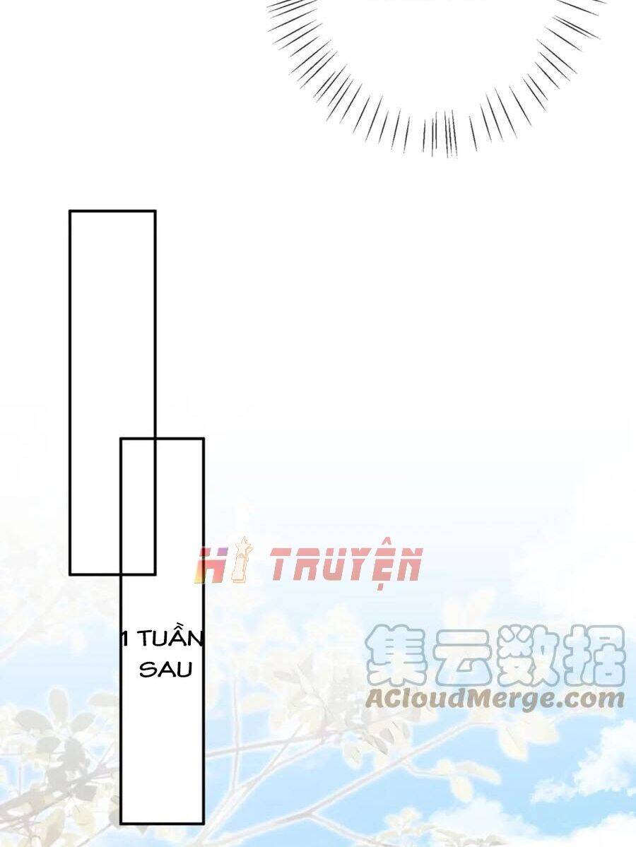 Danh Môn Chí Ái Chap 3682 - Next Chap 3683
