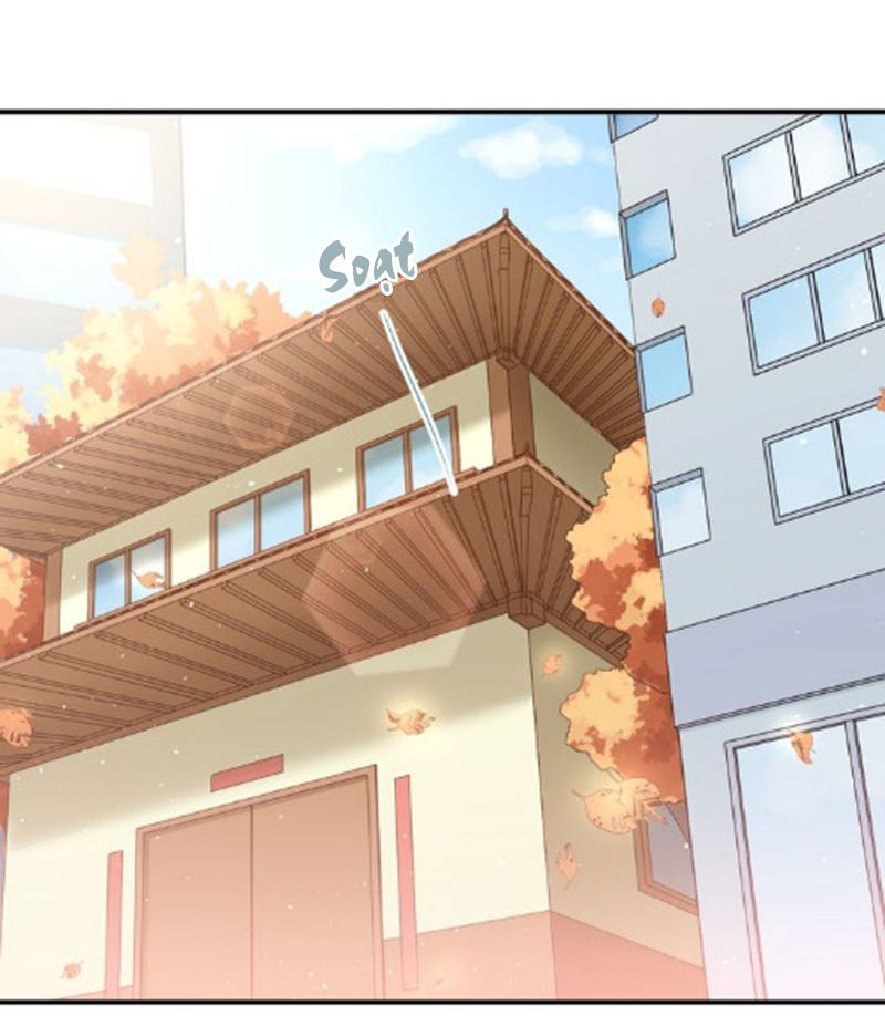 Đầu Gấu Biết Yêu Chap 111 - Next Chap 112