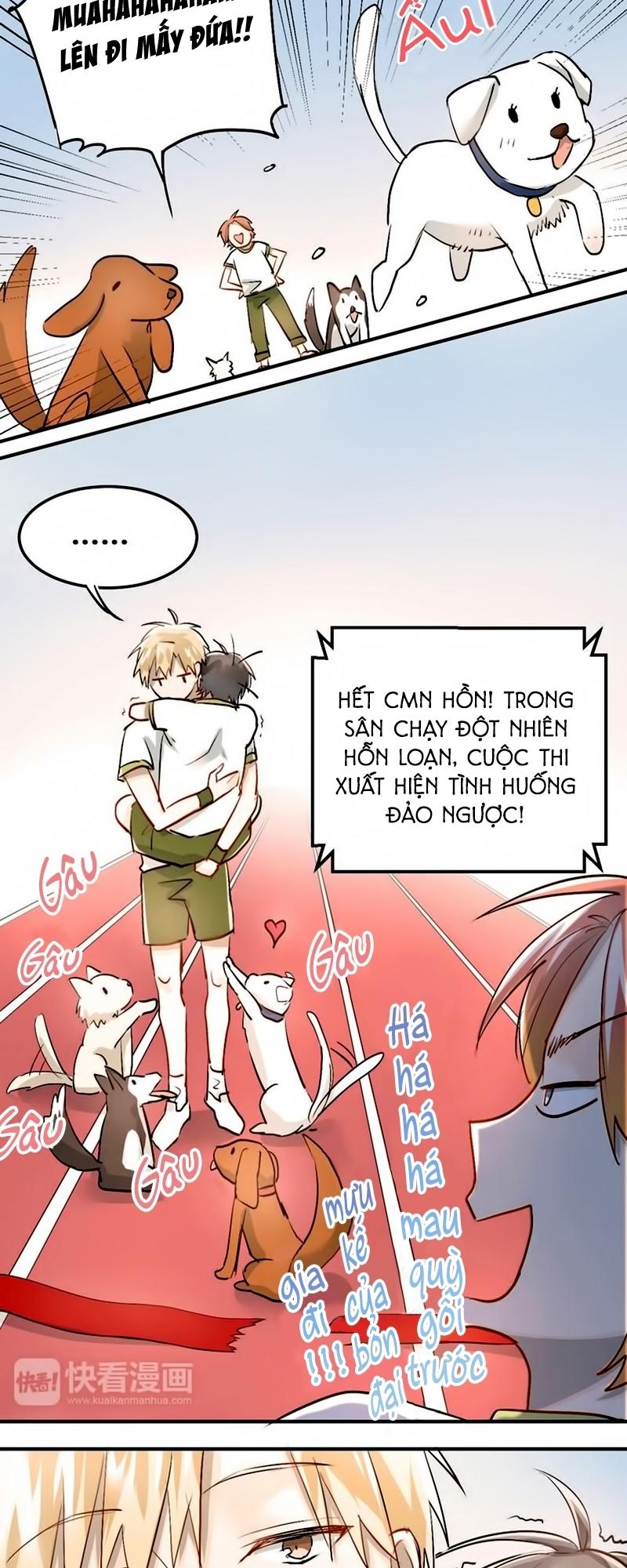 Đầu Gấu Biết Yêu Chap 13 - Next Chap 14