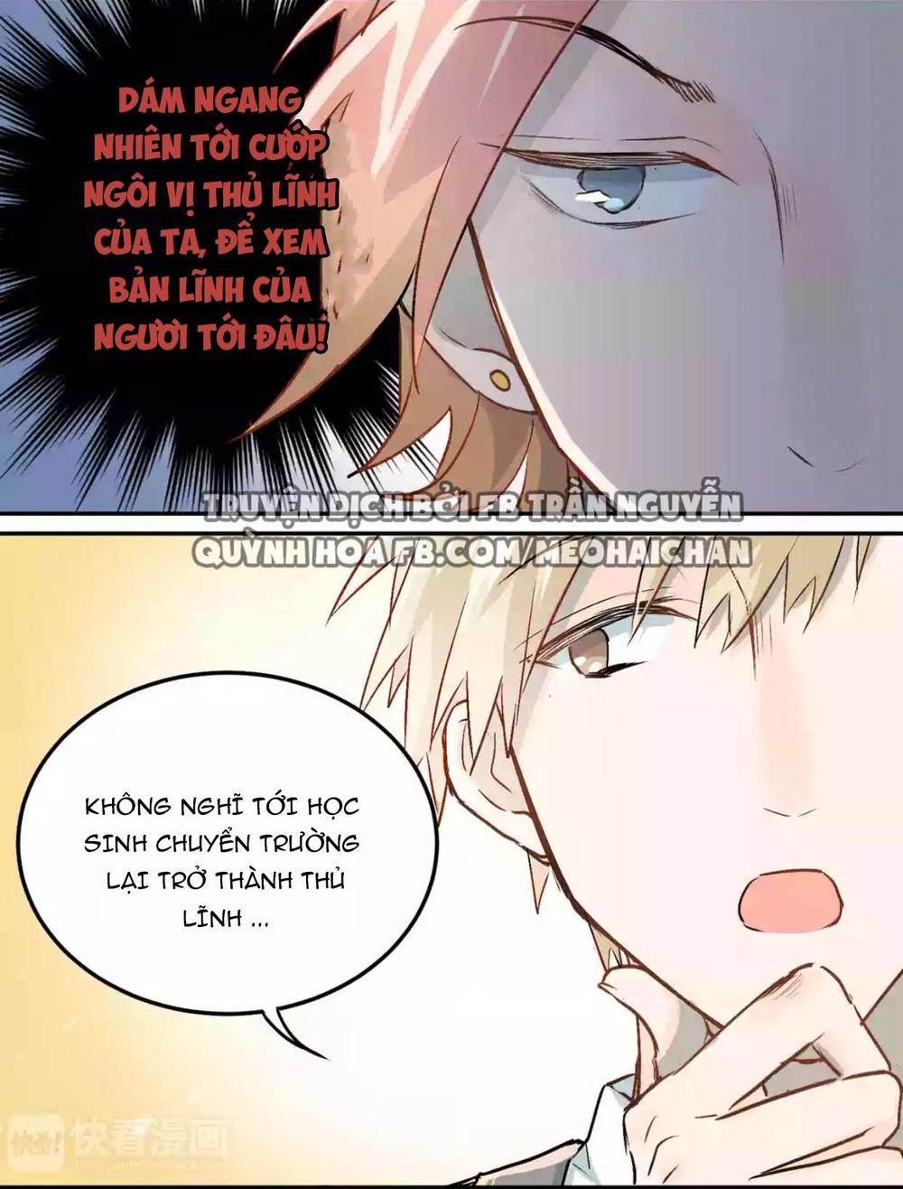 Đầu Gấu Biết Yêu Chap 4 - Next Chap 5