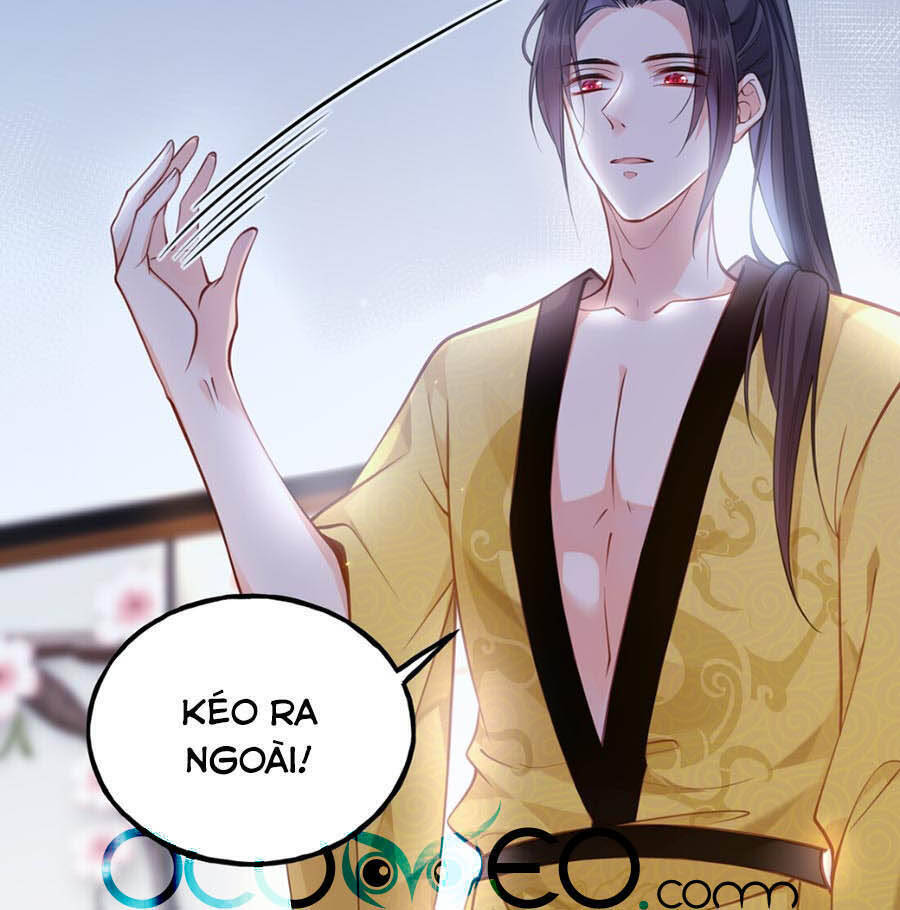 Đây Không Muốn Cung Đấu Mà Chap 10 - Next Chap 11