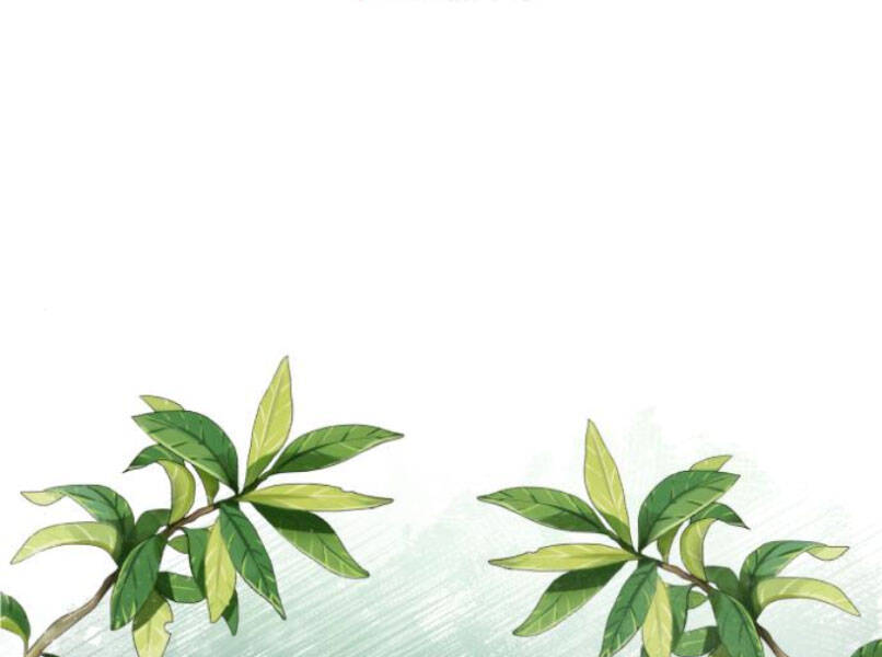 Đệ Nhất Võ Sư, Baek Cao Thủ Chap 16 - Next Chap 17